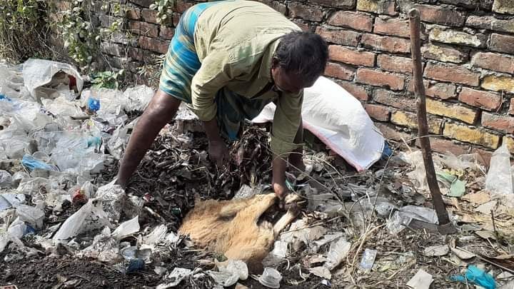 মেহেরপুরে জবাই করা ভেড়া-ছাগল ফেলে পালালো কসাই