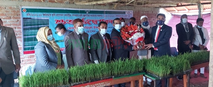 আলমডাঙ্গায় ধানের চারা রোপনের উদ্বোধনকালে ডিসি আমিনুল ইসলাম খান