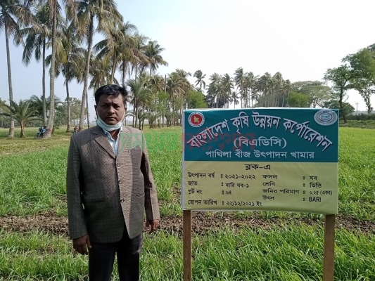 পাথিলা খামারে শুরু হয়েছে বার্লি চাষ