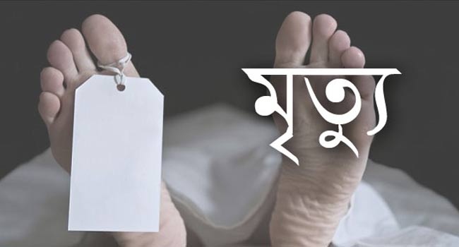 চুয়াডাঙ্গায় তালগাছ গায়ের উপর পড়ে গৃহবধূর মৃত্যু
