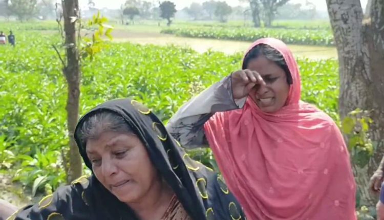 গাংনীতে কৃষককে কুপিয়ে হত্যা