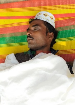 শ্বশুরের আমগাছে মাফলার পেচাঁলেন জামাই!