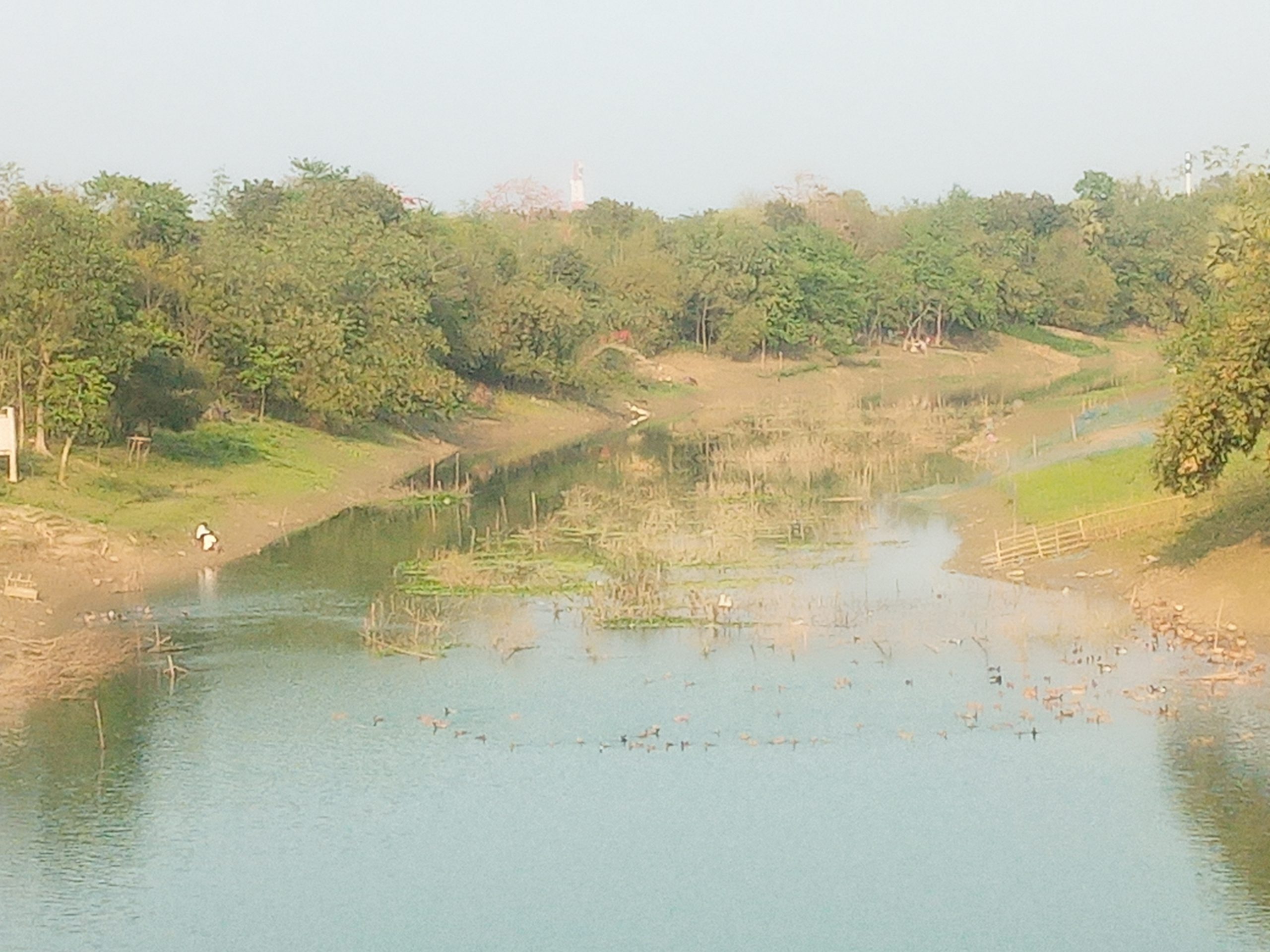 বাধ-কোমর দিয়ে মাথাভাঙ্গা নদী ভরাট