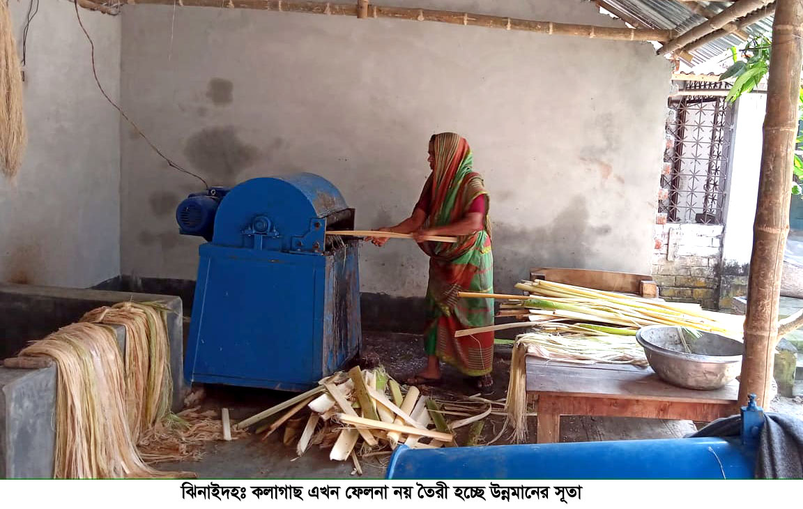 কলাগাছ থেকে তৈরি হচ্ছে উন্নতমানের সূতা