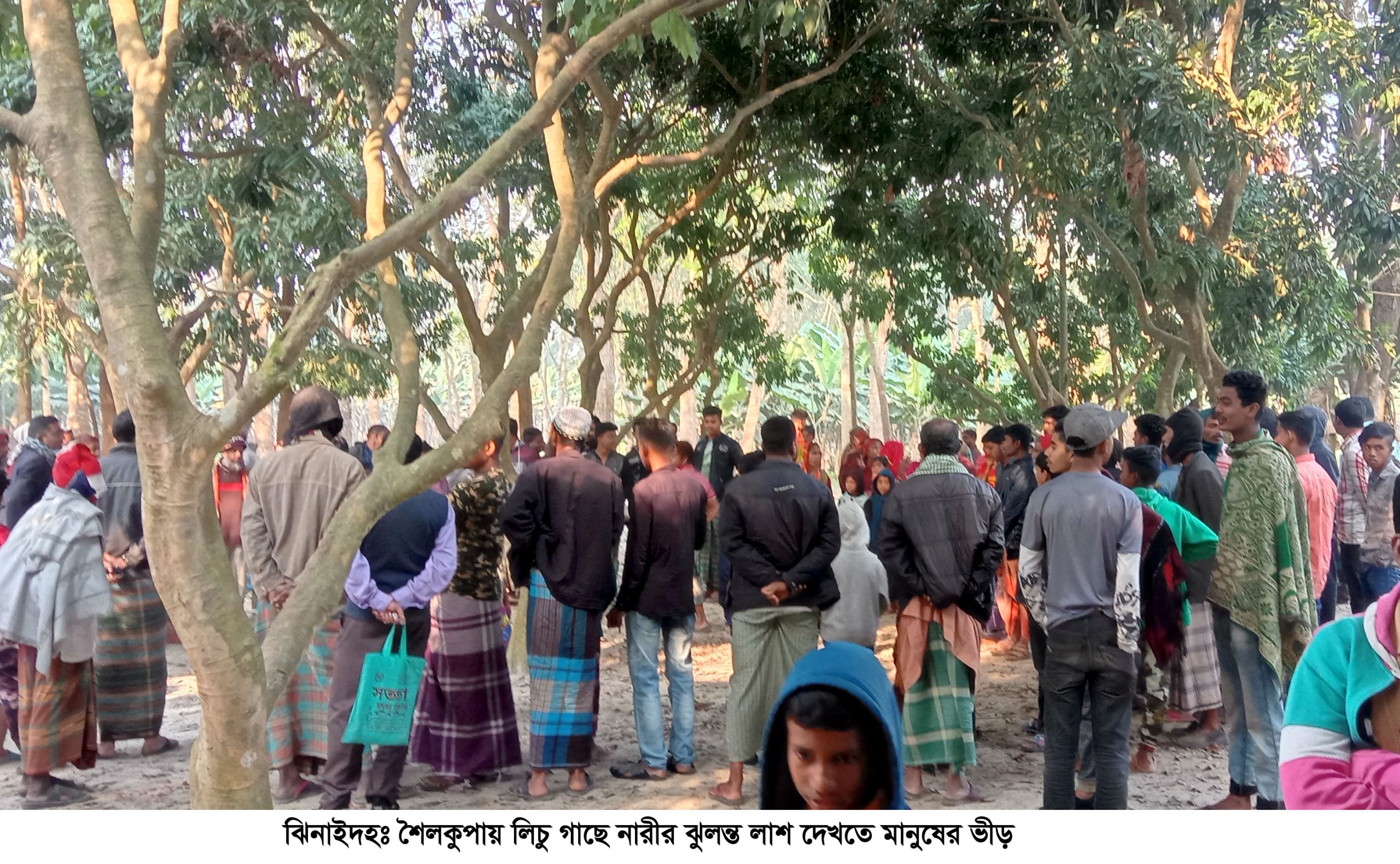 শৈলকুপায় লিচুগাছ থেকে নারীর ঝুলন্ত লাশ উদ্ধার