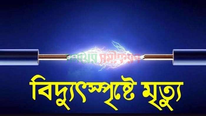 চুয়াডাঙ্গায় বিদ্যুৎস্পৃষ্টে নারীর মৃত্যু