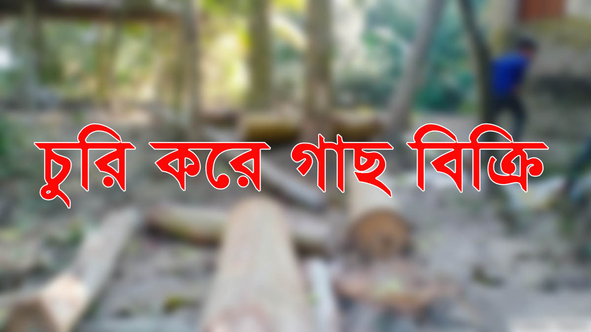 দামুড়হুদায় মাদ্রাসার গাছ কেটে গোপনে বিক্রি!