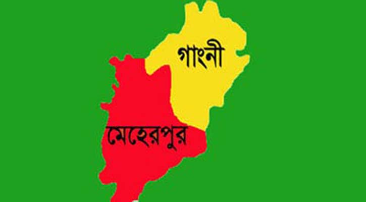 গাংনীর তেঁতুলবাড়িয়ায় কৃষকলীগের ত্রি-বার্ষিক সম্মেলন অনুষ্ঠিত