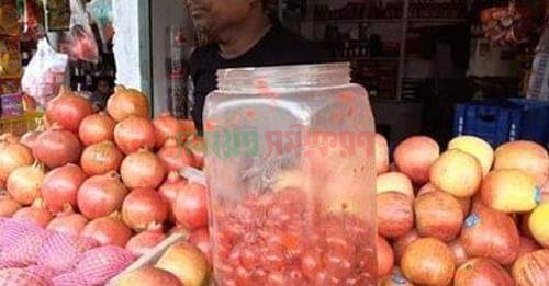 মুজিবনগরে রং মিশ্রিত ভেজাল চেরি ফল জব্দ