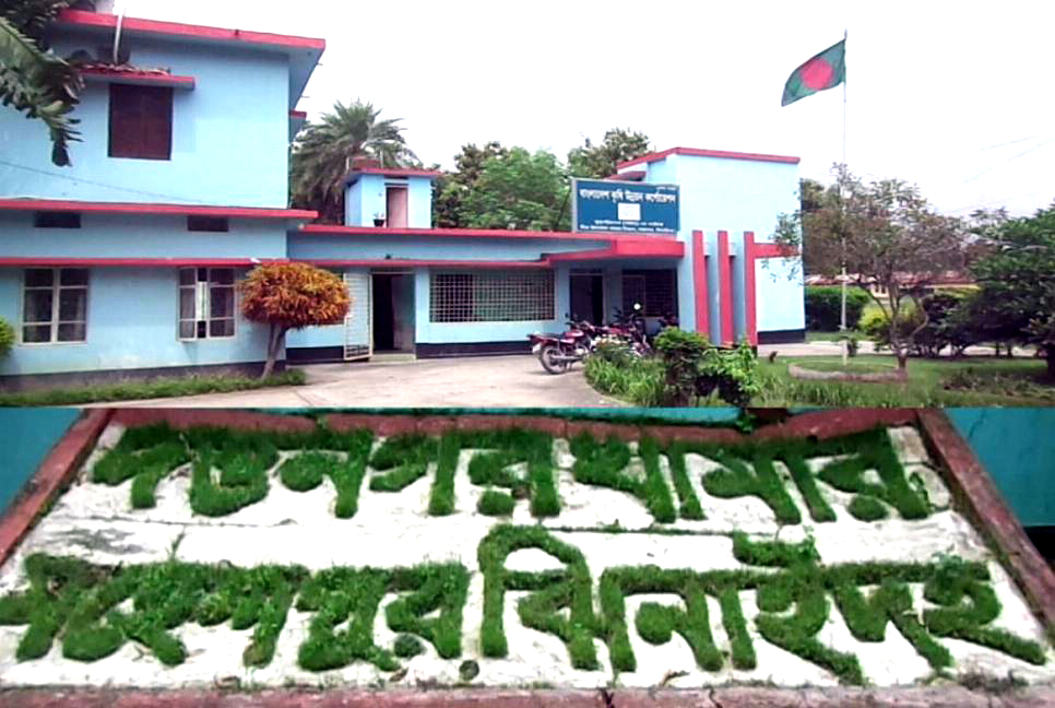 দত্তনগর কৃষি খামারে বাইরের বীজ কিনে প্রতারিত হচ্ছেন কৃষকরা