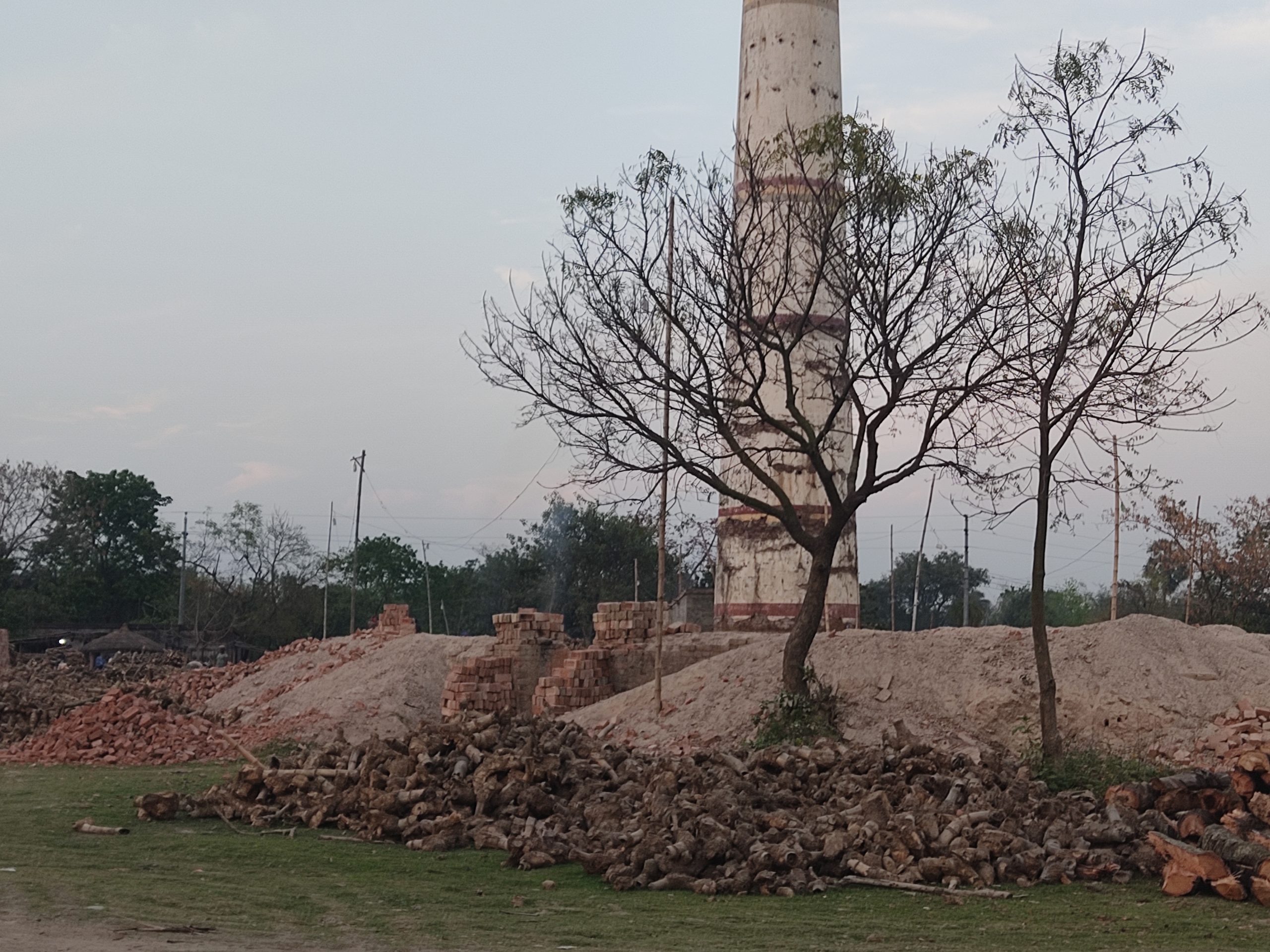 চুয়াডাঙ্গার ইটভাটাগুলোতে জ্বলছে কাঠ!