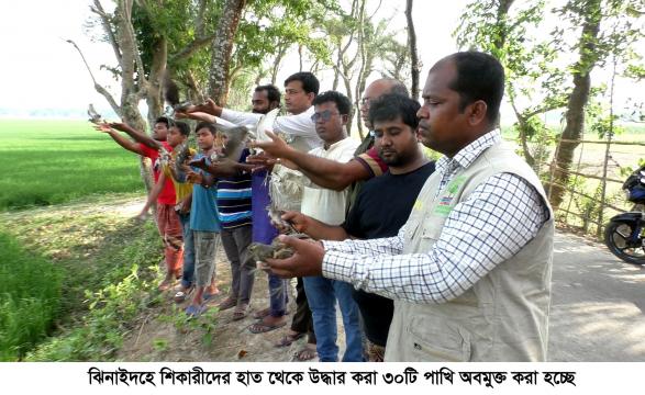 শিকারীদের হাত থেকে উদ্ধার করা পাখি অবমুক্ত
