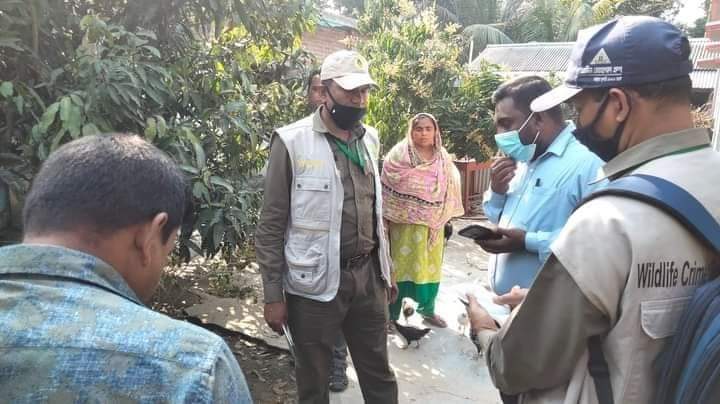 চুয়াডাঙ্গায় বন বিড়াল হত্যার ঘটনায় বিভাগীয় টিমের ঘটনাস্থল পরিদর্শন