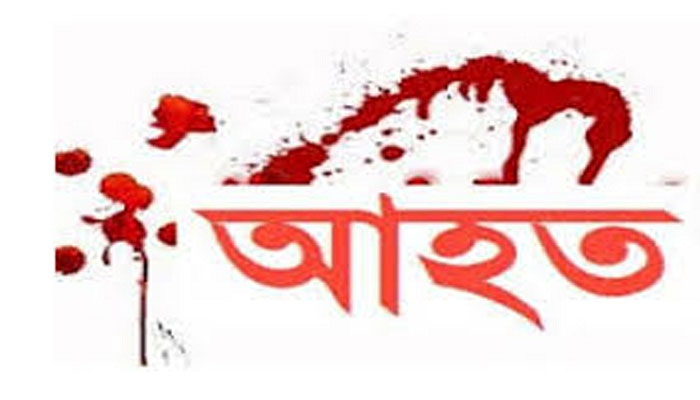 মেহেরপুরের গাংনীতে ইজিবাইকের ধাক্কায় শিশু আহত