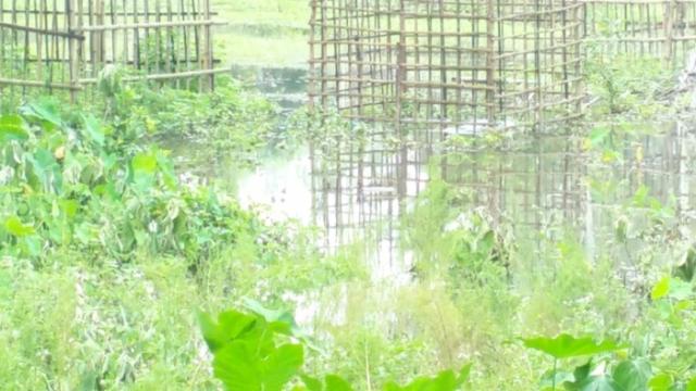 কুড়ুলগাছির কবরস্থানের পানি নিষ্কাশনের দাবি মহল্লাবাসীর