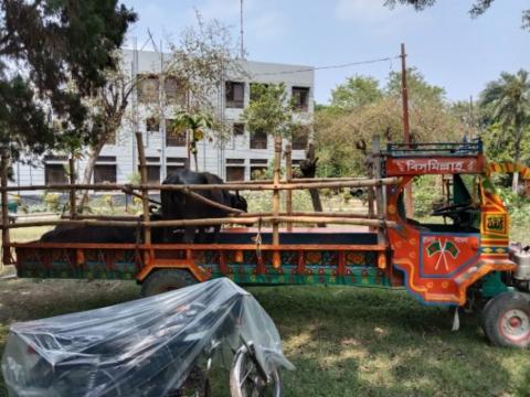 দামুড়হুদায় মহিশ ভর্তি লাটা হাম্বারের চাকায় পিষ্ট হয়ে পুলিশ সদস্যের মৃত্যু