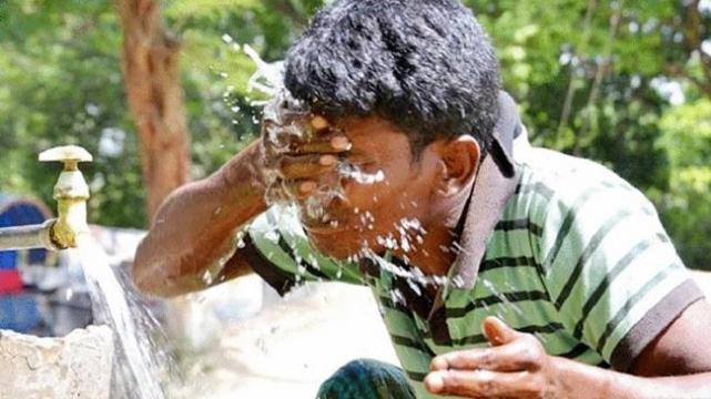 তীব্র তাপদাহে অতিষ্ঠ প্রাণীকূল, বৃষ্টির জন্য হাহাকার