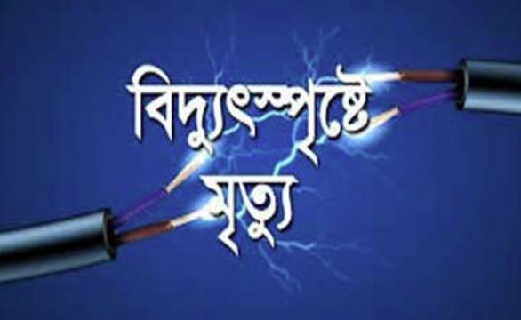 জীবননগরে বিদ্যুস্পৃষ্টে গৃহবধুর মৃত্যু