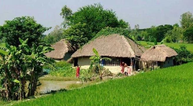মেহেরপুরে অদৃশ্য সাপের কামড়ে অসুস্থ অর্ধশতাধিক মানুষ