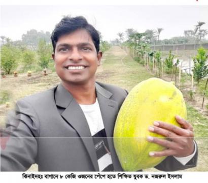 বাগানে ৮ কেজি ওজনের পেঁপে!