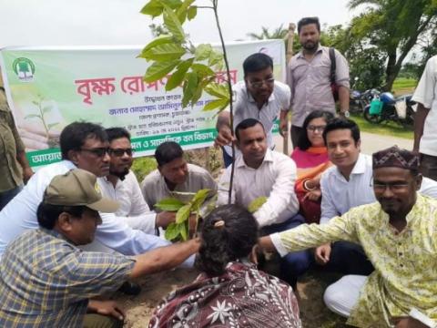 জীবননগর ভৈরব নদের পাড়ে বৃক্ষরোপণ