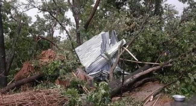 ঝড়ের তাণ্ডবে লণ্ডভণ্ড কুষ্টিয়া