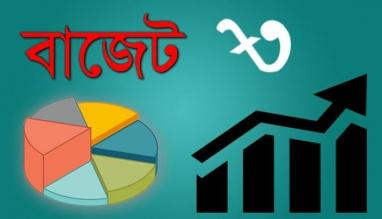 হরিণাকুণ্ডুর দুই ইউনিয়নের উন্মুক্ত বাজেট ঘোষণা