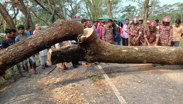 কালবৈশাখী ঝড়ে লণ্ডভণ্ড চুয়াডাঙ্গা; বাড়িঘর ও ফসলের ব্যাপক ক্ষতি