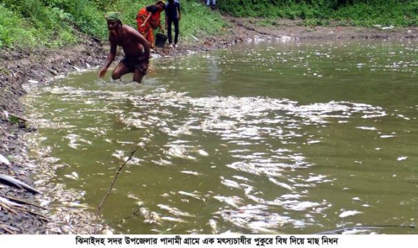 মাছের সঙ্গে এ কেমন শত্রুতা!