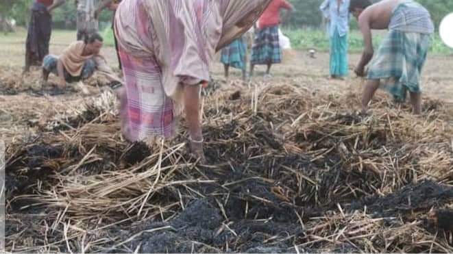 মেহেরপুরে কৃষকের সোনালী স্বপ্নে আগুন!