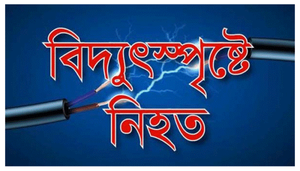 গাংনীতে বিদ্যুৎস্পৃষ্টে প্রবাসীর স্ত্রীর মৃত্যু