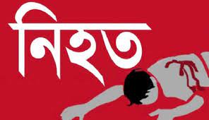 হরিণাকুণ্ডুতে নিজের গাড়িতে চাপা পড়ে চালক নিহত