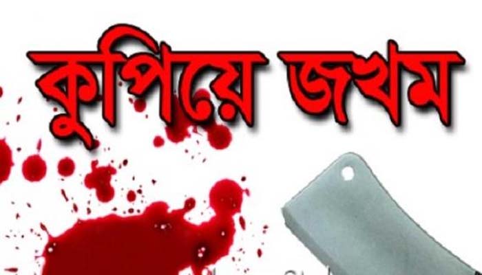 দর্শনায় প্রতিপক্ষের হামলায় নারী জখম