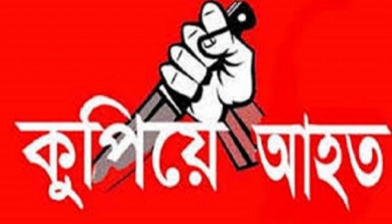 মেহেরপুরের গাংনীতে যুবককে কুপিয়ে আহতের অভিযোগ