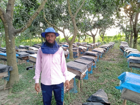 জীবননগরে ভ্রাম্যমাণ মৌ চাষ