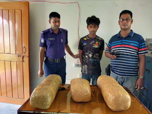 গাংনীতে ১০ কেজি গাঁজাসহ মাদক কারবারি আটক
