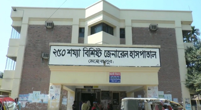 মেহেরপুরের পৃথক স্থানে বজ্রপাতে কৃষকের মৃত্যু, দুই গৃহবধুসহ আহত ৪