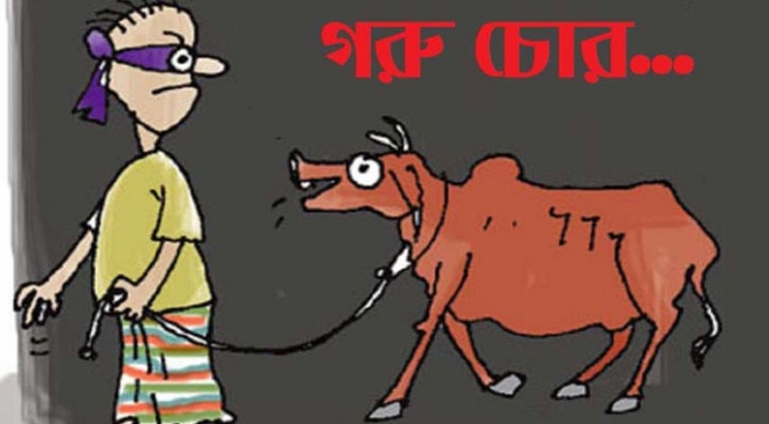 মেহেরপুরের গাংনীতে দিনমজুরের তিনটি গরু চুরি