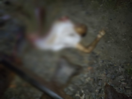 চুয়াডাঙ্গায় ট্রেনে কেটে বৃদ্ধর মৃত্যু