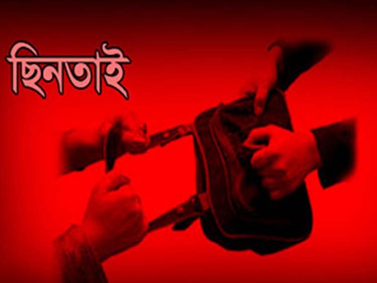ঝিনাইদহ জেলা পরিষদের গাছ বিক্রির টেন্ডার, পে-অর্ডার ছিনতাই