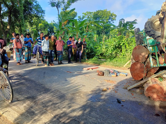 দামুড়হুদায় কাঠ বোঝাঁয় পাওয়ার ট্রিলারের নিচে পড়ে চালক নিহত