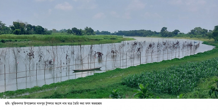 মুজিবনগরে মৎস্য অভয়াশ্রম তৈরিতে অনিয়ম!