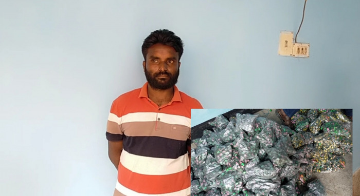 গাংনীতে বিপুল পরিমাণ ভারতীয় পটকা উদ্ধার, যুবক আটক
