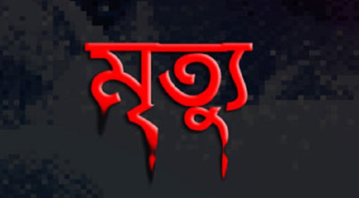 সৌদি আরবে সড়ক দুর্ঘটনায় ঝিনাইদহের চিকিৎসকের স্ত্রীর মৃত্যু