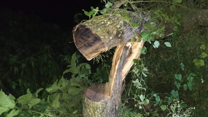 গহেরপুর-সড়াবাড়িয়া সড়কে  সন্ধ্যারাতে অস্ত্রের মুখে জিম্মি করে স্বর্ণালঙ্কারসহ প্রায় অর্ধকোটি টাকা লুট