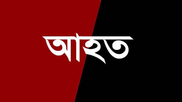 গাংনীতে ছোট ভাইয়ের হামলায় বড় ভাই আহত