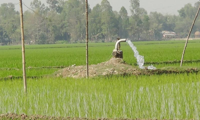 সার-ডিজেলেই চাষির কপালে চিন্তার ভাঁজ