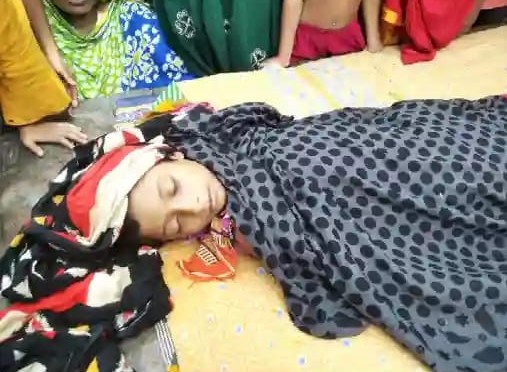 চুয়াডাঙ্গায় বিষধর সাপের কামড়ে শিশুর মৃত্যু