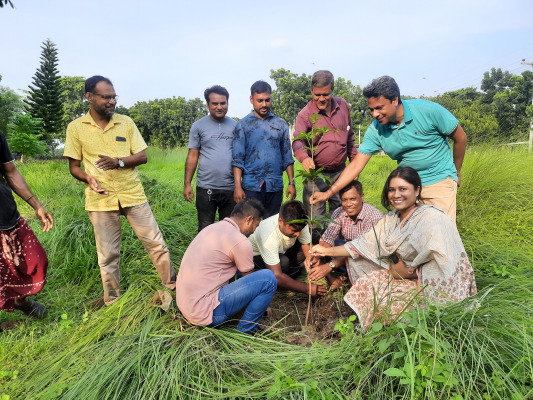 জাতীয় শোক দিবস উপলক্ষে ওয়েভ ফাউন্ডেশনের তিন দিনের কর্মসূচি সমাপ্ত