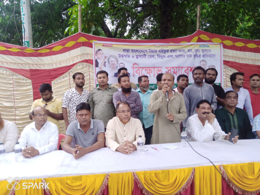 দর্শনায় বিএনপির বিক্ষোভ সমাবেশ